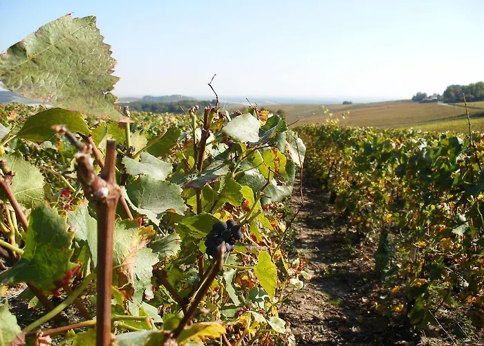 Comfort & Vacanceole Les Demeures Champenoises Aparthotel